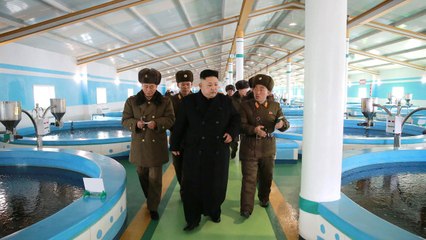 N Korea diplomat suspected, US immigration