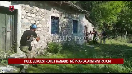 PULT, SEKUESTROHET KANABIS, NË PRANGA ADMINISTRATORI