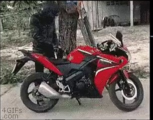 Reality vs Expectation: Hilarious Video Compilation 😂