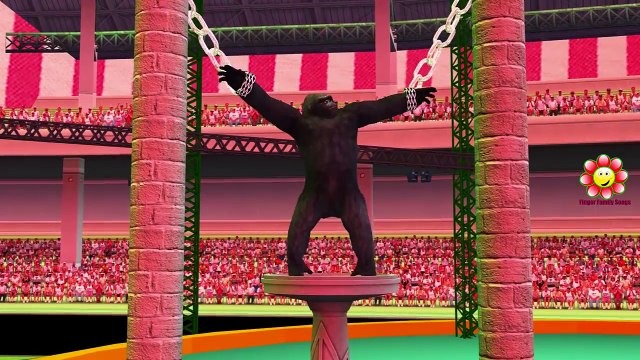 Colors Gorilla Lion Godzilla Finger Family | Sea Animals Finger Family Nursery Rhymes Collection