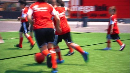 Megatek emotions of Euro 2016