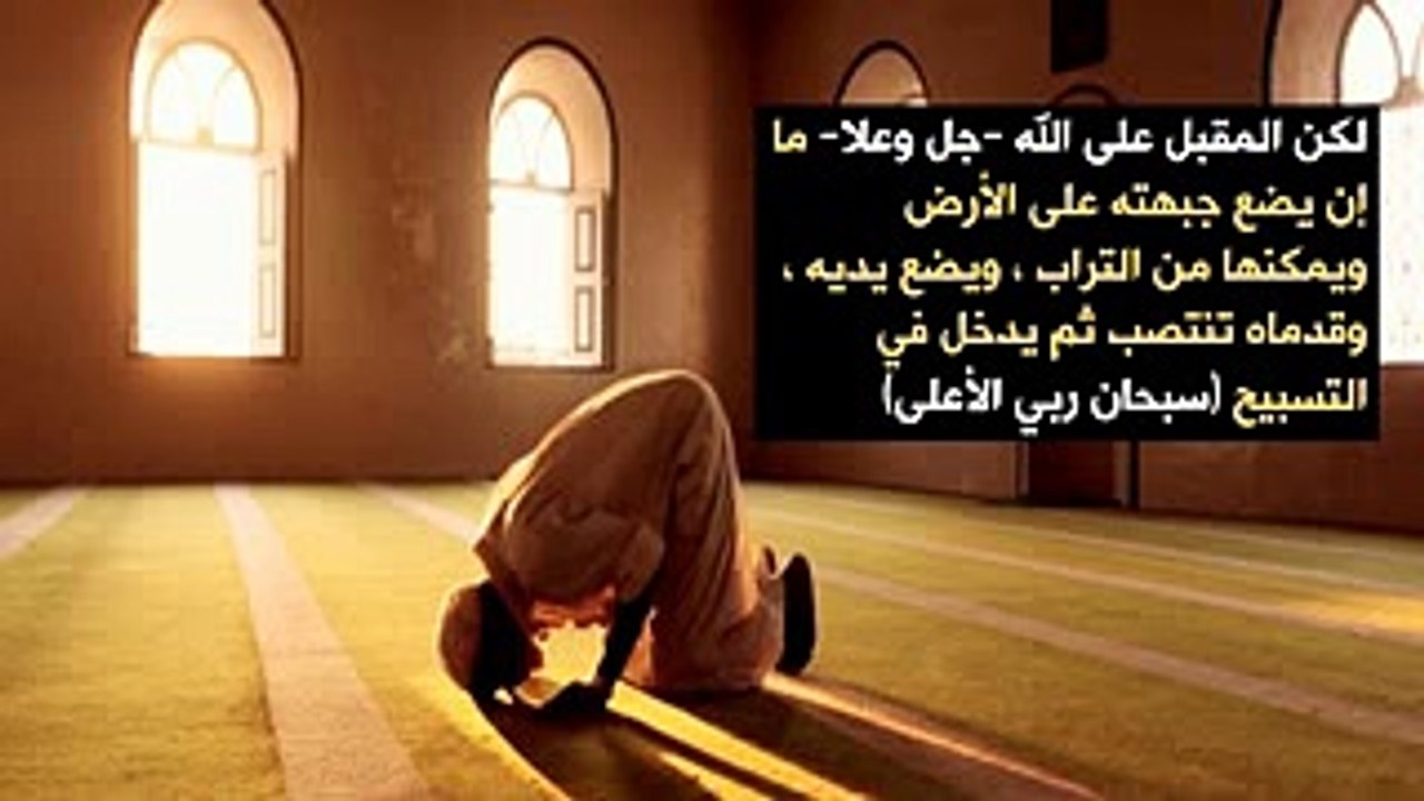 سعادة القلوب   صالح المغامسي