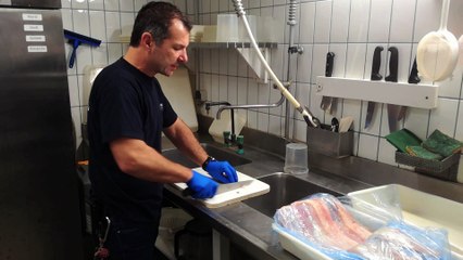 Dans les coulisses de l'Aquarium de La Rochelle (2)