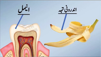 03.Teeth Whitening Tips in Urdu_Hindi -- Dant Chamkane ka tarika