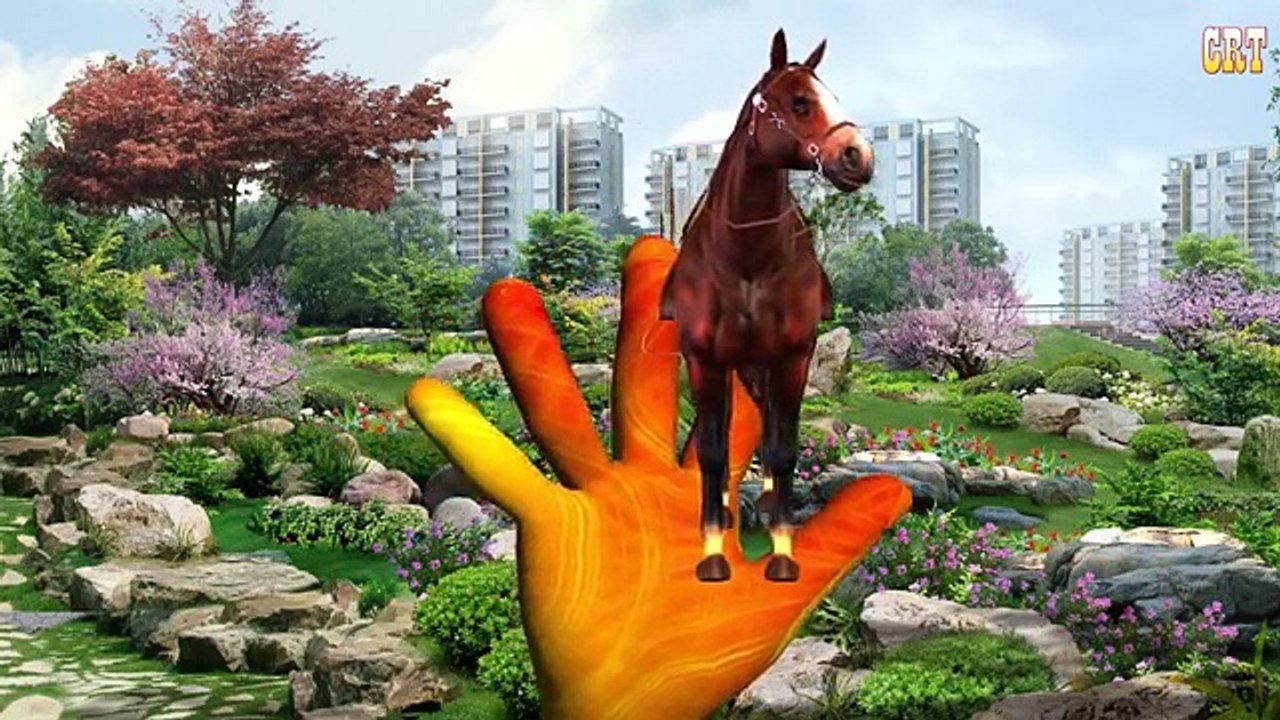 Horse Finger Family Nursery Rhymes For Kids Rhymes | Top Animals Cartoons Finger Family Co