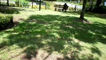 Las Cuadras Park in Quito. ver tipo de calidades y tiempo de subida