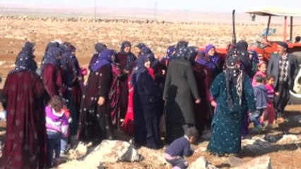 Şanlıurfa - Hd) Köylüler Geçim Kaynakları Arazilerin Kendilerine Verilmesini İstiyor