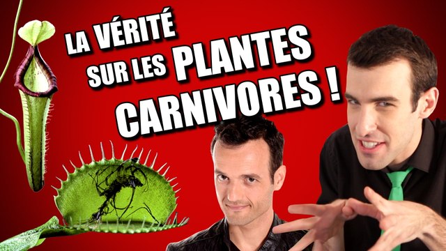 IDÉE REÇUE #20 : Les plantes carnivores (feat. Fabien Olicard)