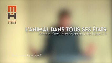 "L'animal dans tous ses états" 26 janvier 2017 - 3