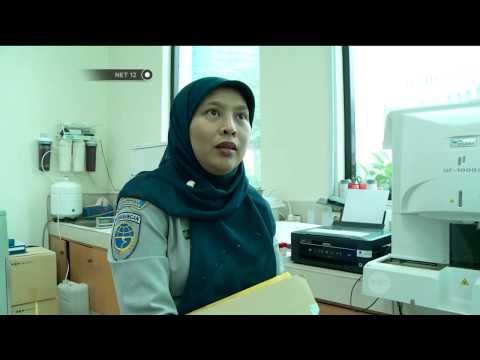 Izin terbang pilot AirAsia QZ 7501 terancam dicabut jika positif narkoba - NET12