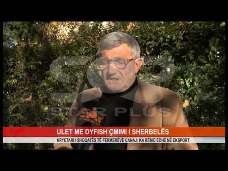 ULET ME DYFISH ÇMIMI I SHERBELËS