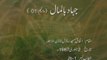 Jihad Bilmal (Vol 1) [Speech Shaykh-ul-Islam Dr. Muhammad Tahir-ul-Qadri]