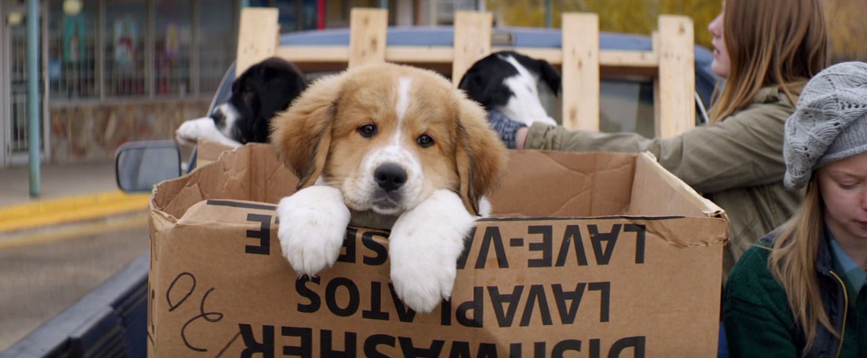 MES VIES DE CHIEN - Trailer VOST Bande-annonce (Dennis Quaid) [Full HD,1920x1080]