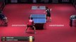 2017 India Open Highlights: Vladimir Samsonov vs Asuka Sakai (R32)