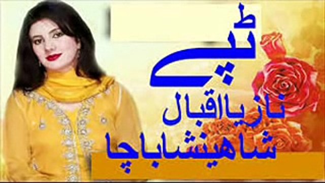 Armani Tapy HD Nazia Iqbal & Shehanshah Bacha