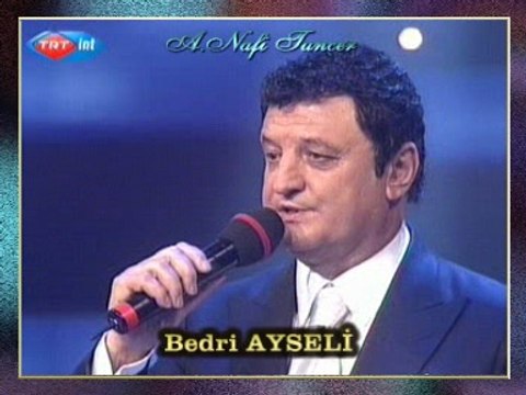 Bedri AYSELİ - İki Dağın Arasında Kalmışam