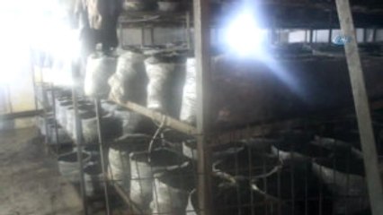 Kütahya) Mantar Üretim Tesisinde İş Kazası, 1 Ölü 1 Ağır Yaralı