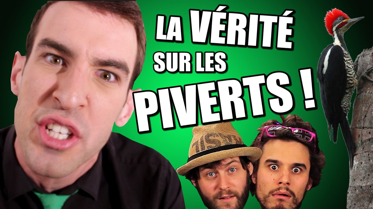 IDÉE REÇUE #18 : La vérité sur les Piverts !