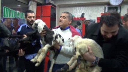 Hakkari TRT'nin 'Çepik' Programı Hakkari'de Çekildi