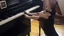 Spectaculaire ! Ce chien se prend pour un musicien, regardez