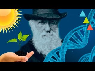 Cosas de biología que debes saber para no quedar mal