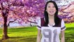 Learn Seasons in Mandarin Chinese!! Spring, Summer, Fall, and Winter
