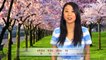 Learn Spring, Spring Break, Spring Festival Chinese New Year, Spring Rolls in Mandarin Chinese!