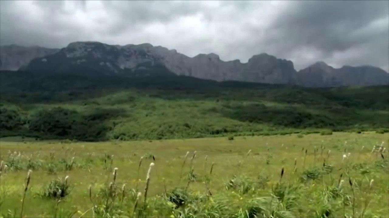 Priča o saradnji za Naturu (duža verzija)