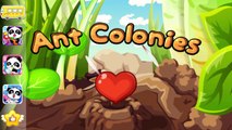 Learn About Ants with Ant Colonies by BabyBus Kids Games for Toddler Preschooler Kindergar