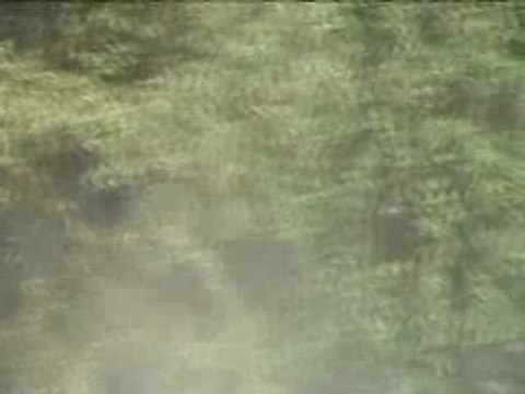 Rallye de la Semois : C2 Floracing