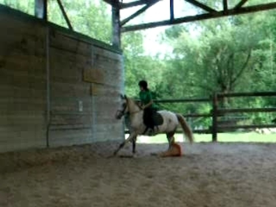 joy moi obstacle 2