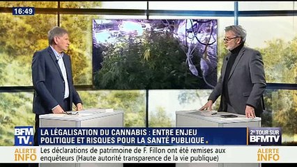 Légalisation du cannabis : entre enjeu politique et risques pour la santé publique