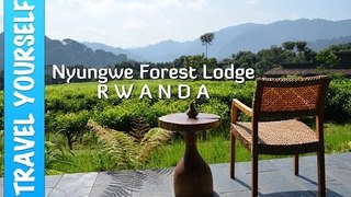 Nyungwe Forest Lodge Rwanda