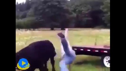 animals vs humans funny videos !!! :O