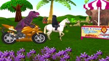Colors Gorilla Vs Horse Racing Short Movie For Kids | Colors Dinosaurs Lion King Kong Kids