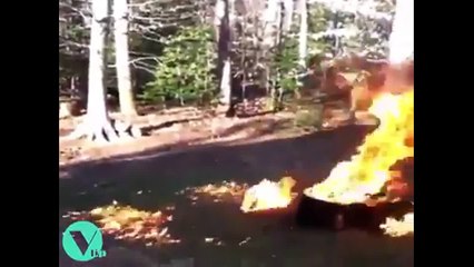 OMG #11 !!! So scary... Hope no-one was seriously hurt....