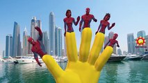 Los Colores De Spiderman Vs Colores De Los Dinosaurios Dedo De La Familia | Godzilla, King Kong Niños De La Guardería