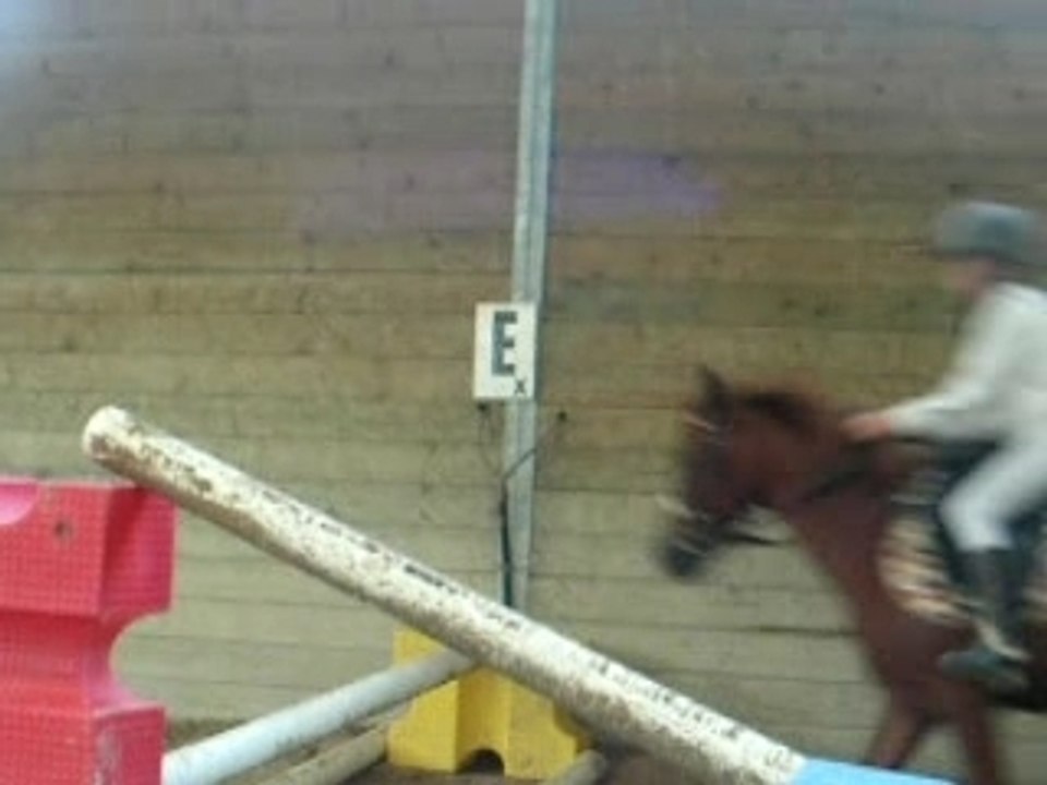 3 se