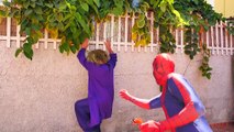 Spiderman y Congelado Elsa vs Mad Elsa! w Rosa Spidergirl y Bromista Superhéroe de la Diversión en el Real Lif