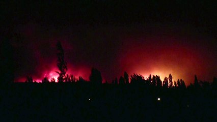 Wildfire out of control in Chile's Parral: 40 houses burnt