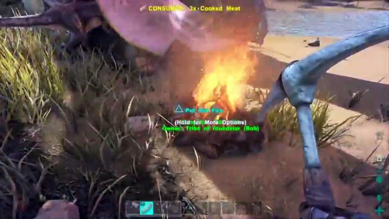 roundstar's Live PS4 Broadcast (14)