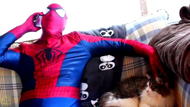 Spiderman vs Catwoman vs Batman & Batgirl! Batman is Kidnapped! Fun Superhero Movie!
