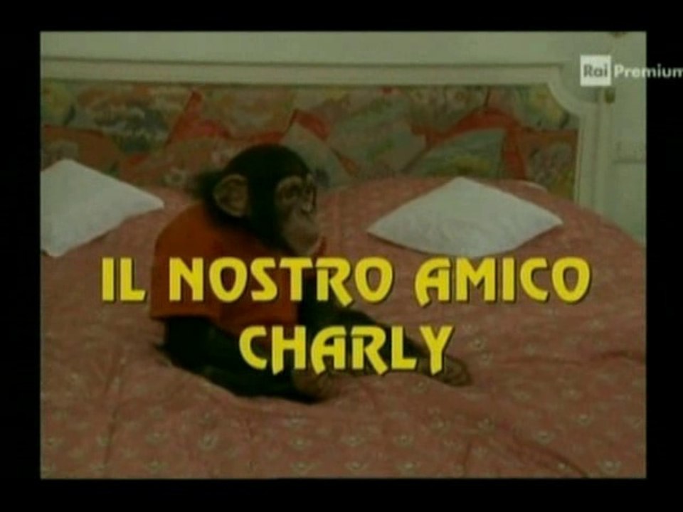 Il nostro amico Charly 4x01 - In vacanza con Charly