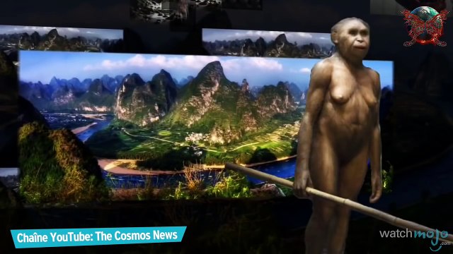 Top 10 des animaux disparus !