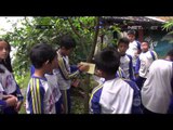 Siswa SD di Sukabumi belajar mengenal dan merawat pohon - NET12