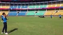 kholi catch pratices