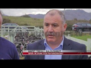 Hapet tregu i Baldushkut - News, Lajme - Vizion Plus