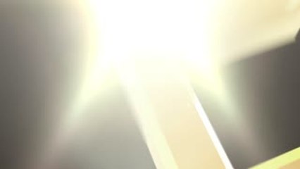 Fried Red Grouper Slices With Scallop Oyster Sauce