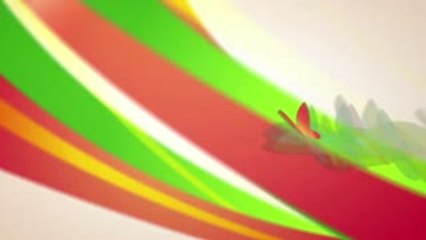 Mangosteen Bark With Miso Caramel Mousse