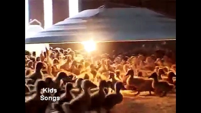 รวมเพลงเด็กฟังยาวๆ เป็ด ช้าง ลิง แมงมุม